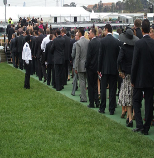 Protection gazon Protection gazon